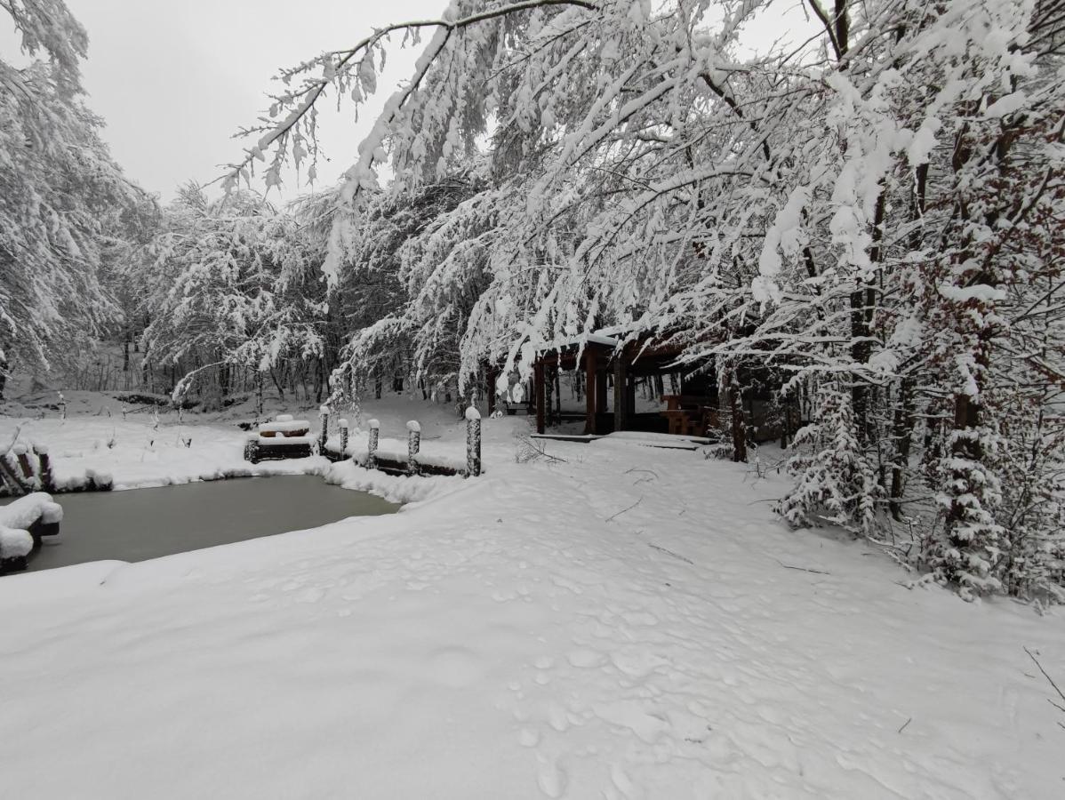 Miedzy Drzewami Villa Biecz Dış mekan fotoğraf
